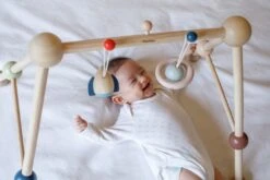 Plan Toys PlanToys Holzspielzeug Spiel-Turnhalle-Orchard 15 Plan Toys PlanToys Holzspielzeug Spiel-Turnhalle-Orchard -Spielzeug Förderung 5270 2