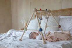 Plan Toys PlanToys Holzspielzeug Spiel-Turnhalle-Orchard 17 Plan Toys PlanToys Holzspielzeug Spiel-Turnhalle-Orchard -Spielzeug Förderung 5270 4