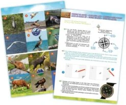 BUKI Natur-Set -Spielzeug Förderung buki natuurset