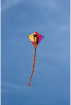 Eddy Bronco -Spielzeug Förderung eddy bronco 3