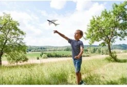 Haba Terra Kids Schleuder-Gleiter 7 Haba Terra Kids Schleuder-Gleiter -Spielzeug Förderung haba terra kids schleuder gleiter 3