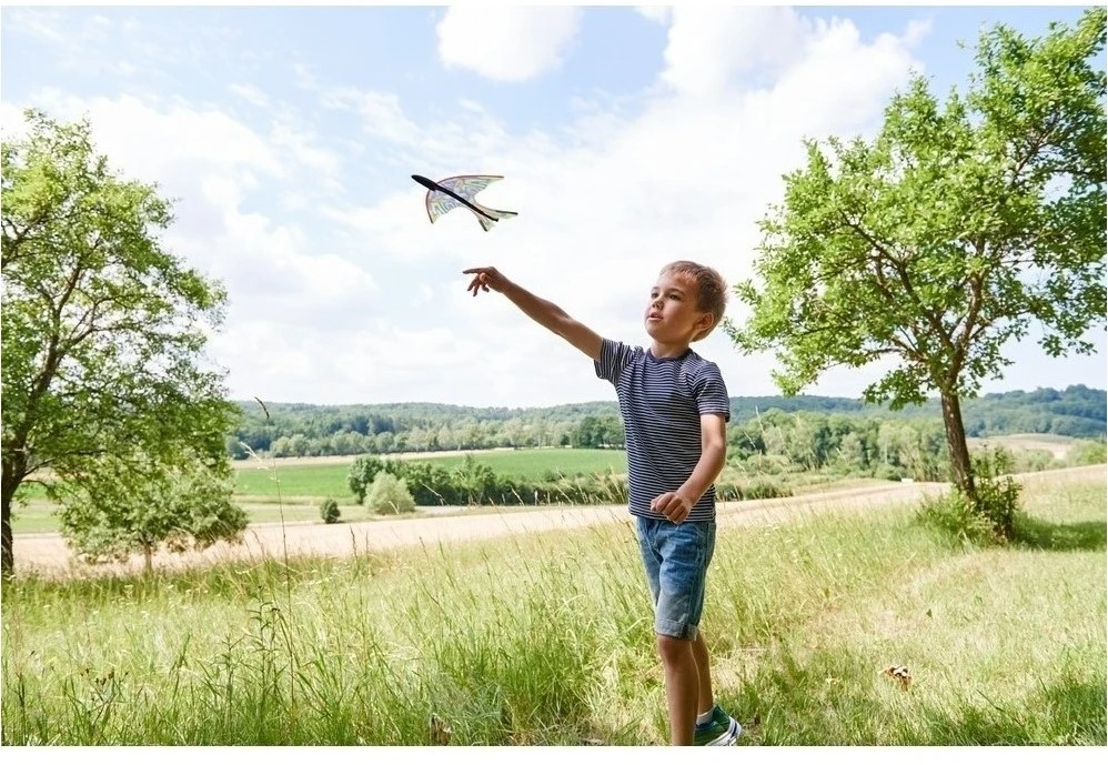 Haba Terra Kids Schleuder-Gleiter 5 Haba Terra Kids Schleuder-Gleiter – Bild 3