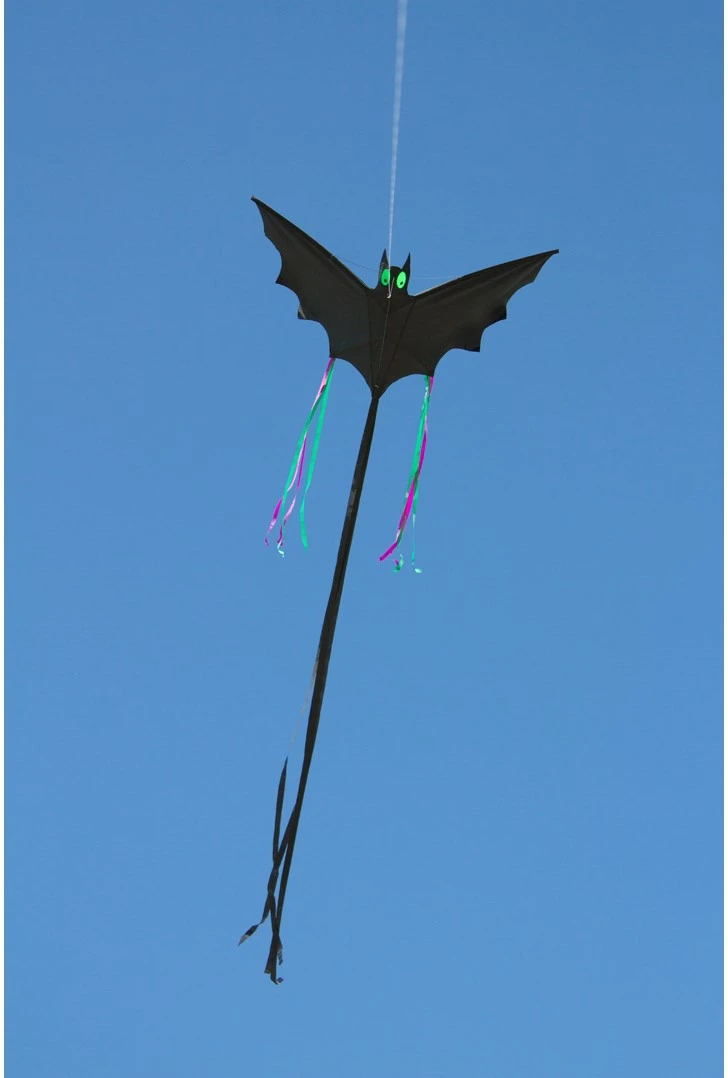 HQ 100040 - Bat Black "L", Kinderdrachen Einleiner, Ab 5 Jahren, 30x60cm, Inkl. 10kp Polyesterschnur 25m Auf Griff, 2-4 Beaufort 4 HQ 100040 - Bat Black "L", Kinderdrachen Einleiner, Ab 5 Jahren, 30x60cm, Inkl. 10kp Polyesterschnur 25m Auf Griff, 2-4 Beaufort – Bild 2