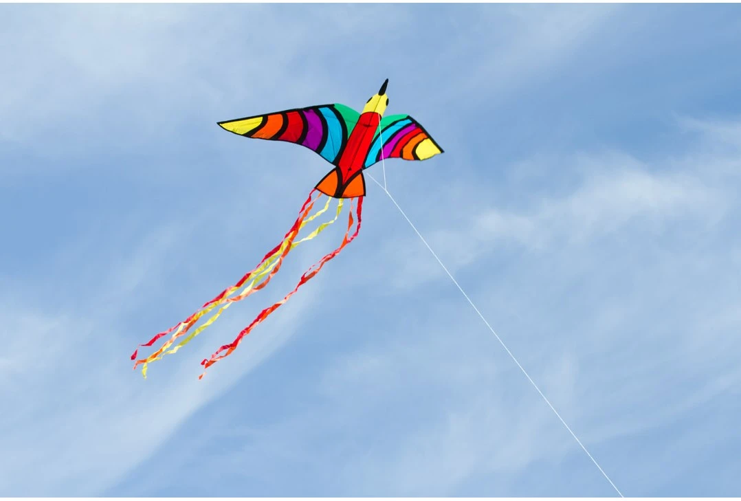 HQ 106522 - Tropical Bird Kinderdrachen Einleiner, Ab 5 Jahren, 75x150cm, Inkl. 17kp Polyesterschnur 40m Auf Spule, 2-5 Beaufort 5 HQ 106522 - Tropical Bird Kinderdrachen Einleiner, Ab 5 Jahren, 75x150cm, Inkl. 17kp Polyesterschnur 40m Auf Spule, 2-5 Beaufort – Bild 3