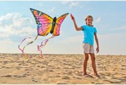 HQ Schmetterlingsdrachen Rubin "L -Spielzeug Förderung schmetterlingsdrachen rubin quot l 3