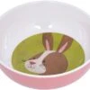 Sigikid H.scharr Mel. SCHUESSEL HASE -Spielzeug Förderung sigikid hscharr mel schuessel hase