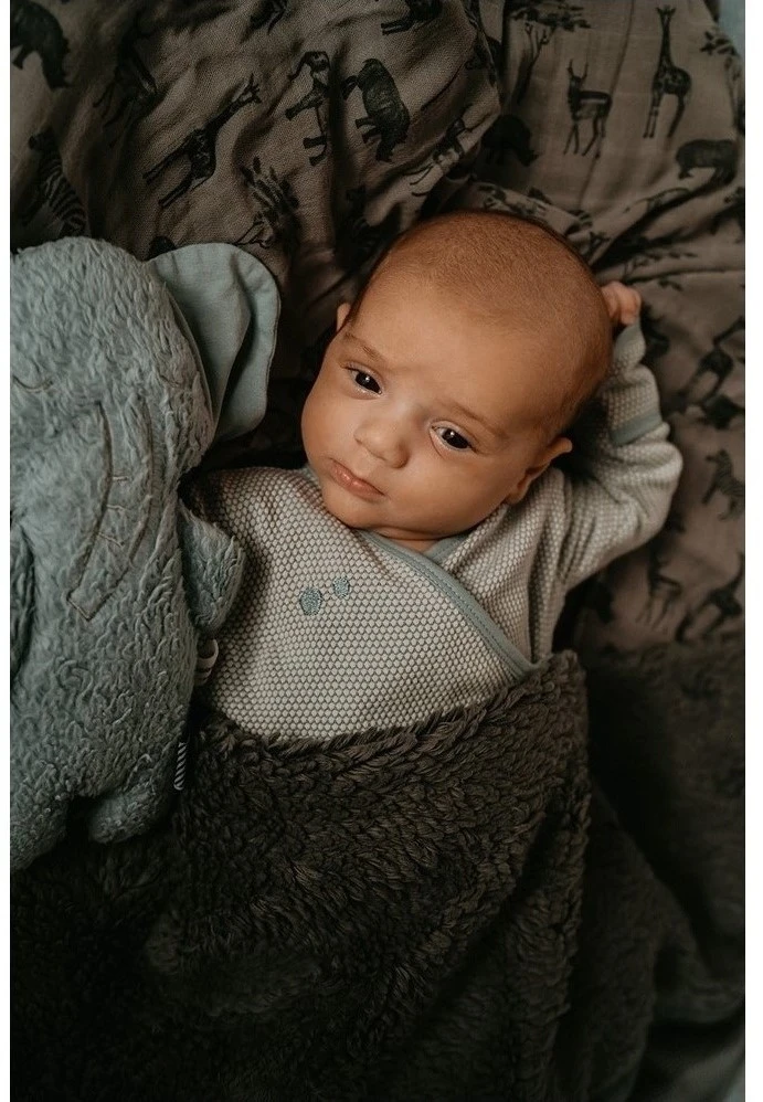 Snoozebaby ORGANIC Olly Elefant Frisch Blau 4 Snoozebaby ORGANIC Olly Elefant Frisch Blau – Bild 2