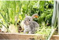 Steiff Dormili Rabbit, Light Grey -Spielzeug Förderung steiff dormili rabbit light grey 3
