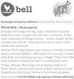 Wishbone Orange Wild Dog Bell -Spielzeug Förderung wishbone orange wild dog bell 3